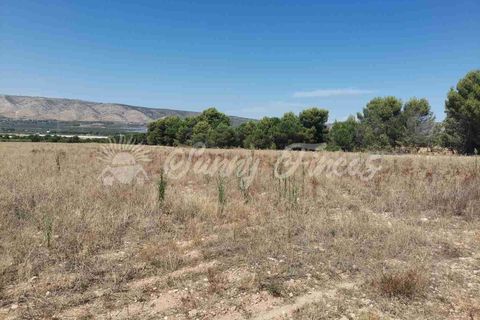 Terra a Biar, Alicante, Biar - € 125.000 | Ref: SF0426 - foto 4